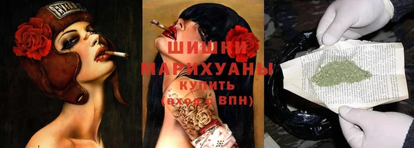 первитин Гусев