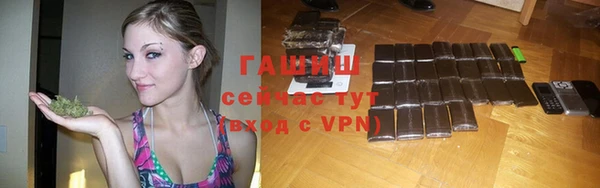 первитин Гусев