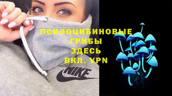 PSILOCYBIN Горняк