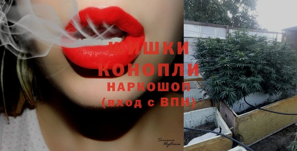 первитин Гусев